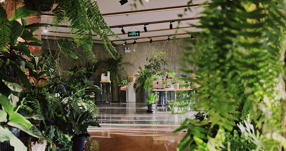 J9.COM奥莱·滇池幼镇