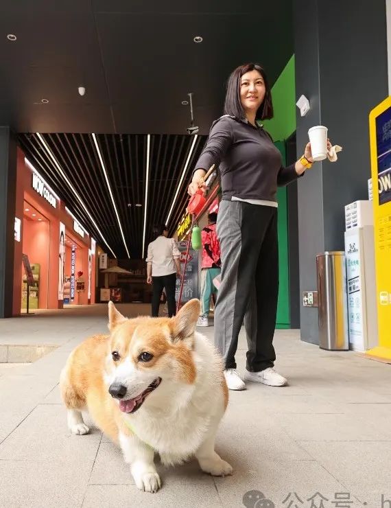 0?wx_fmt=jpeg&amp;from=appmsg