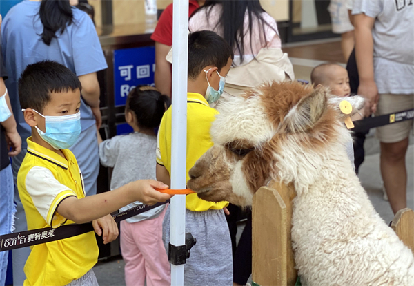 J9.COM·(中国集团)官方网站