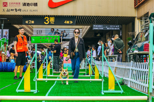 J9.COM·(中国集团)官方网站